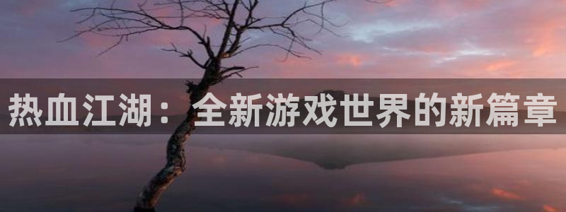 28大神现在是什么：热血江湖：全新游戏世界的新篇章
