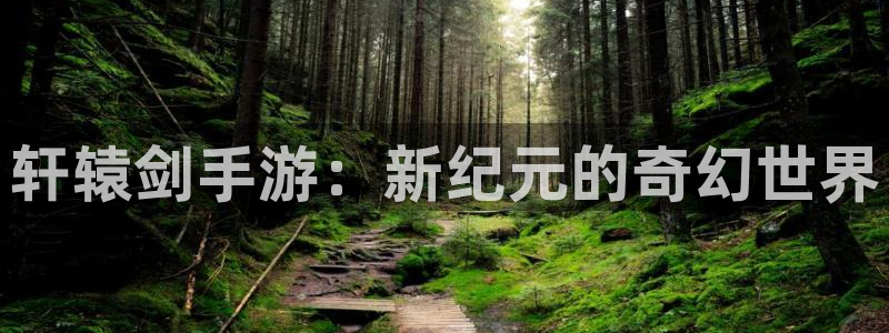 pc28大神开奖结果查询：轩辕剑手游：新纪元的奇幻世界