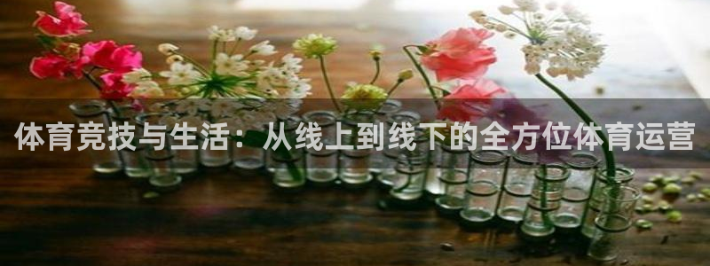 oety欧亿：体育竞技与生活：从线上到线下的全方位体育运营