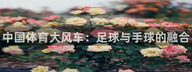 oety欧亿：中国体育大风车：足球与手球的融合