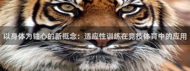oety欧亿：以身体为轴心的新概念：适应性训练在竞技体育中的应用