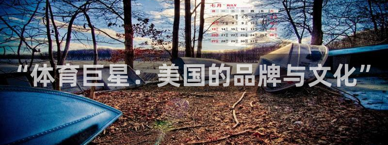oety欧亿：“体育巨星：美国的品牌与文化”