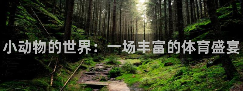 oety欧亿：小动物的世界：一场丰富的体育盛宴