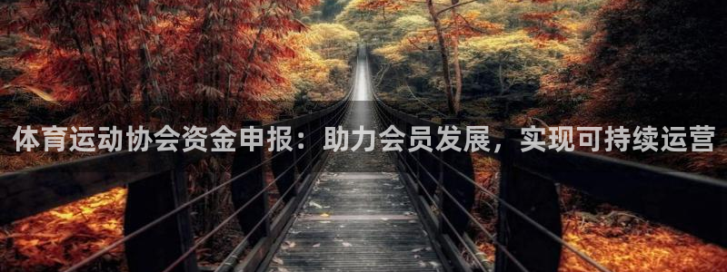 oety欧亿：体育运动协会资金申报：助力会员发展，实现可持续运营