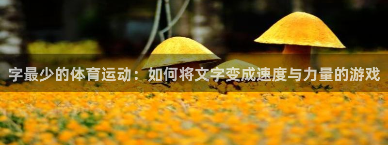 oety欧亿：字最少的体育运动：如何将文字变成速度与力量的游戏