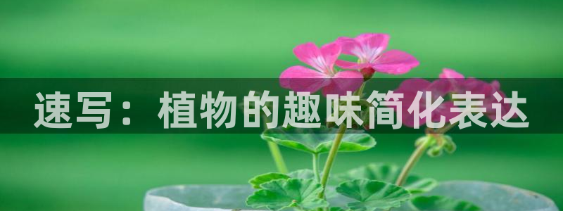 oety欧亿：速写：植物的趣味简化表达